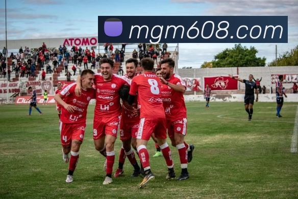 美高梅官网首页平台生态图